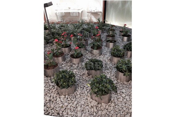 ÜRÜN KODU: SKS1010